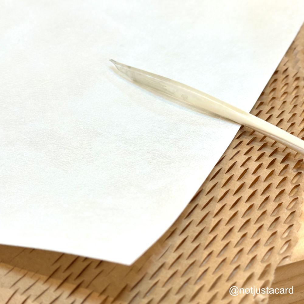 Parchment Vellum Goatskin