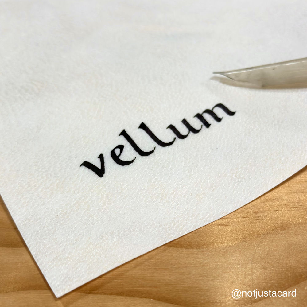 Parchment Vellum Goatskin